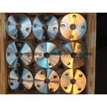 En1092-1 Forging Flange